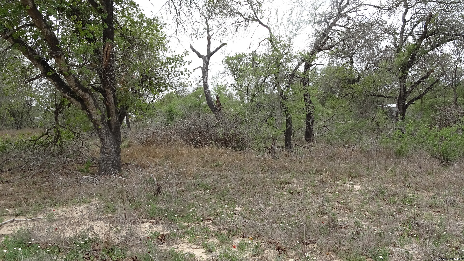 22823 Cherry Rock Elmendorf TX 78112