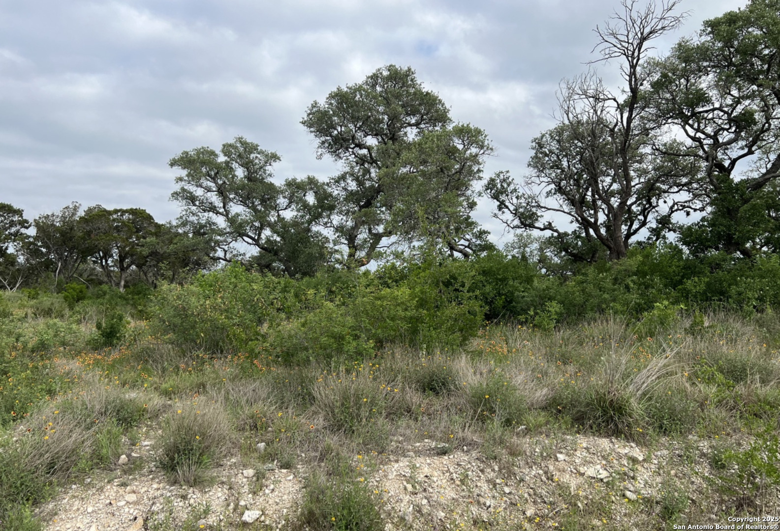 Tbd Pr 2771 Mico TX 78056