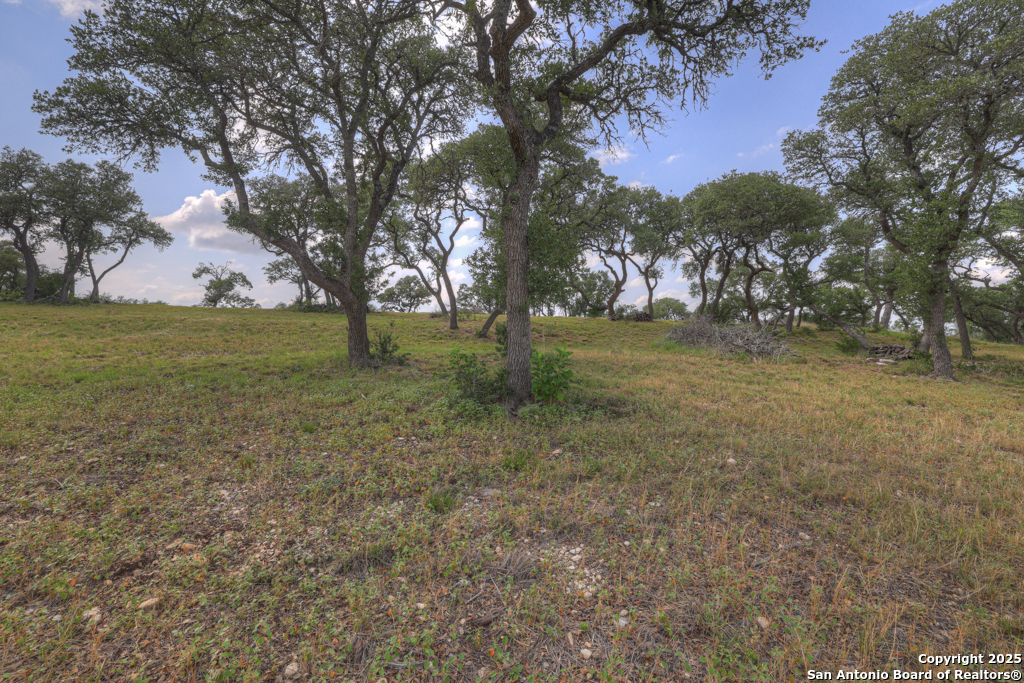 338 Sheridan Canyon Lake TX 78133
