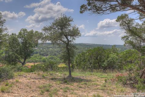 338 Sheridan Canyon Lake TX 78133