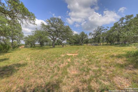 338 Sheridan Canyon Lake TX 78133