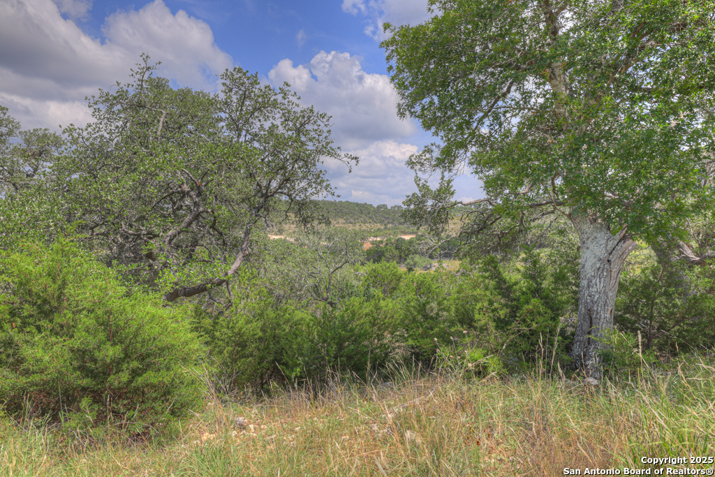 338 Sheridan Canyon Lake TX 78133