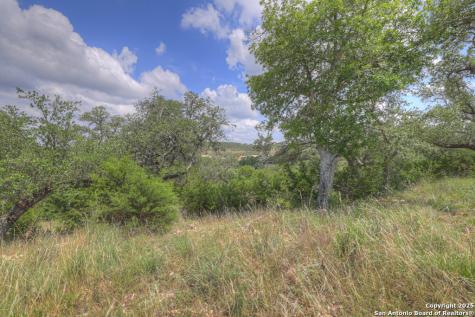 338 Sheridan Canyon Lake TX 78133
