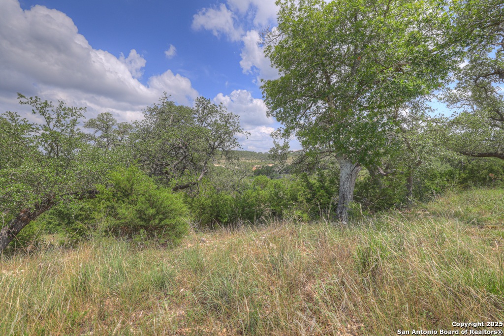 338 Sheridan Canyon Lake TX 78133