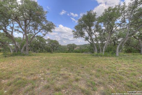 338 Sheridan Canyon Lake TX 78133