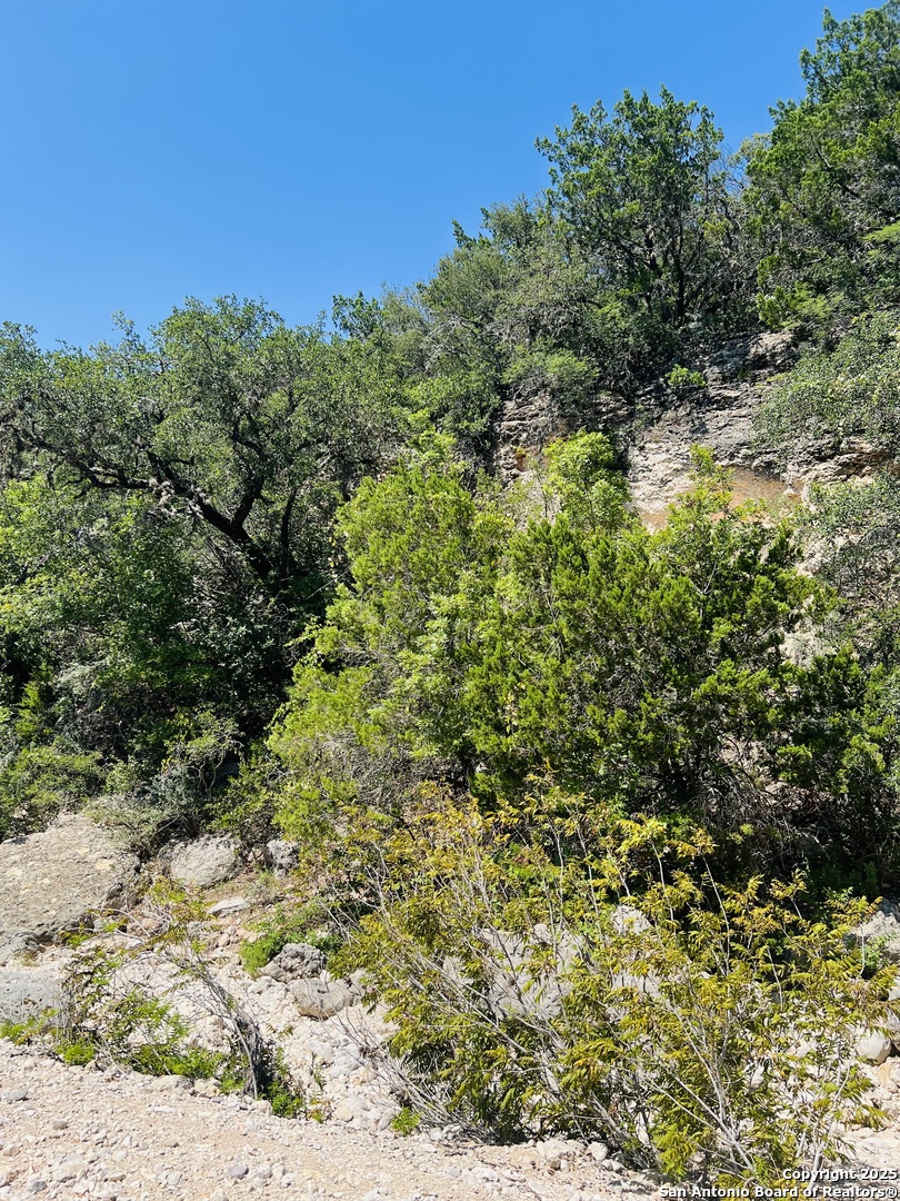 0 Cr 408 Uvalde TX 78801