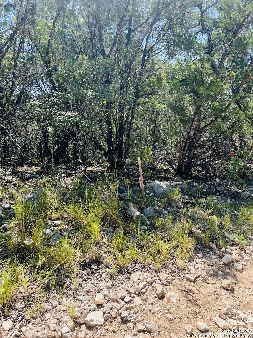 0 Cr 408 Uvalde TX 78801