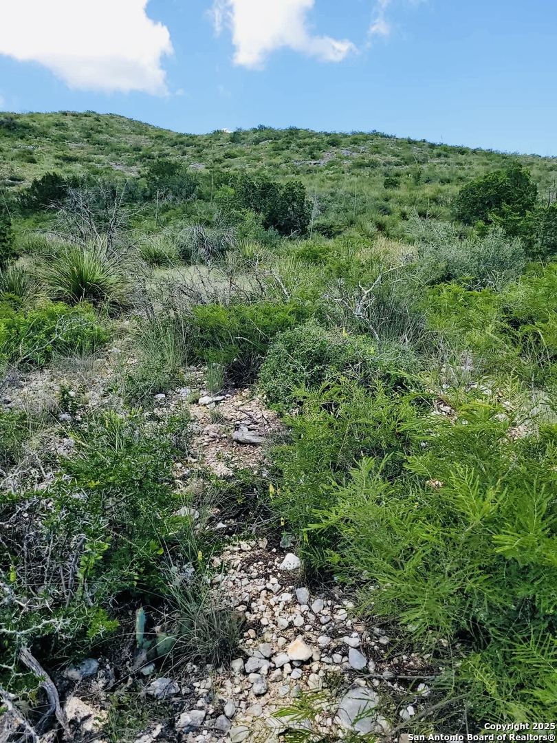 0 Cr 408 Uvalde TX 78801