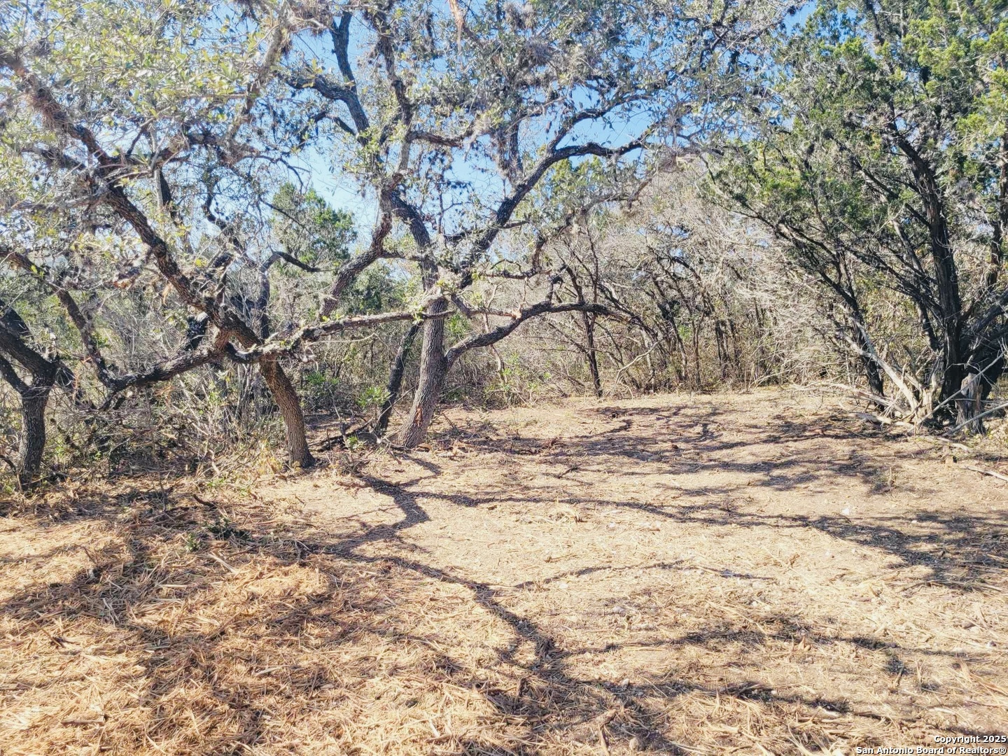 0 Cr 408 Uvalde TX 78801