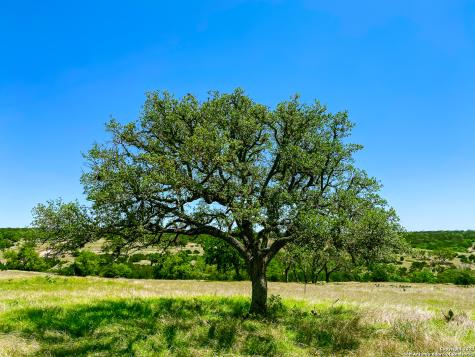 Lot 124 Loma Vista Ranch Kerrville TX 78028