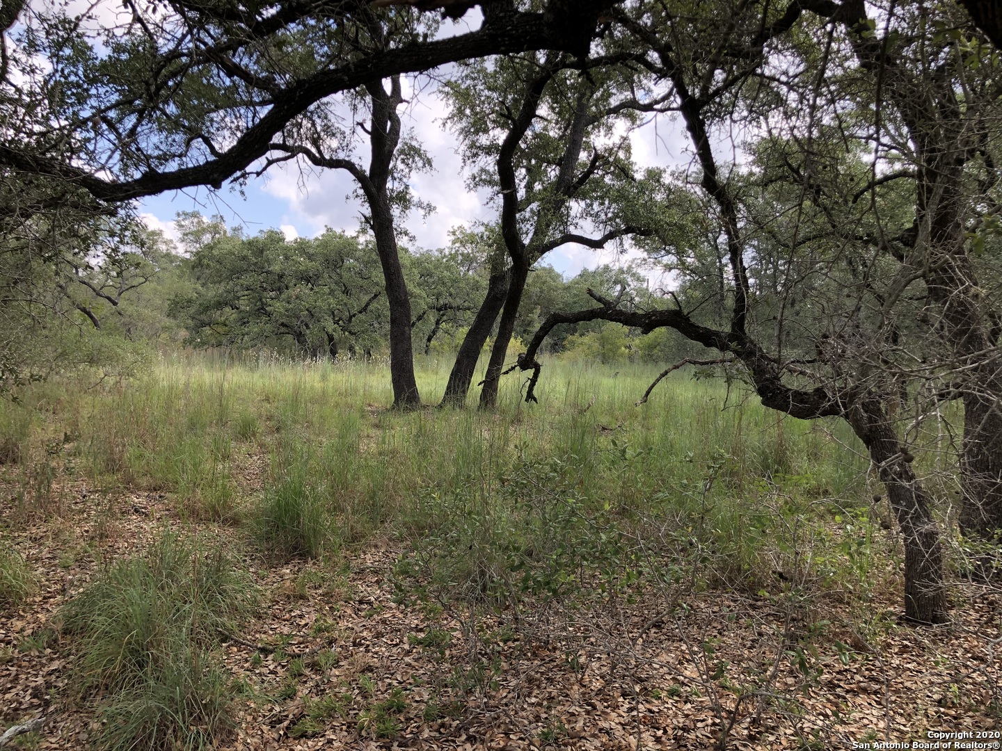 Lot 6 & 7 Oak Lane Poteet TX 78065