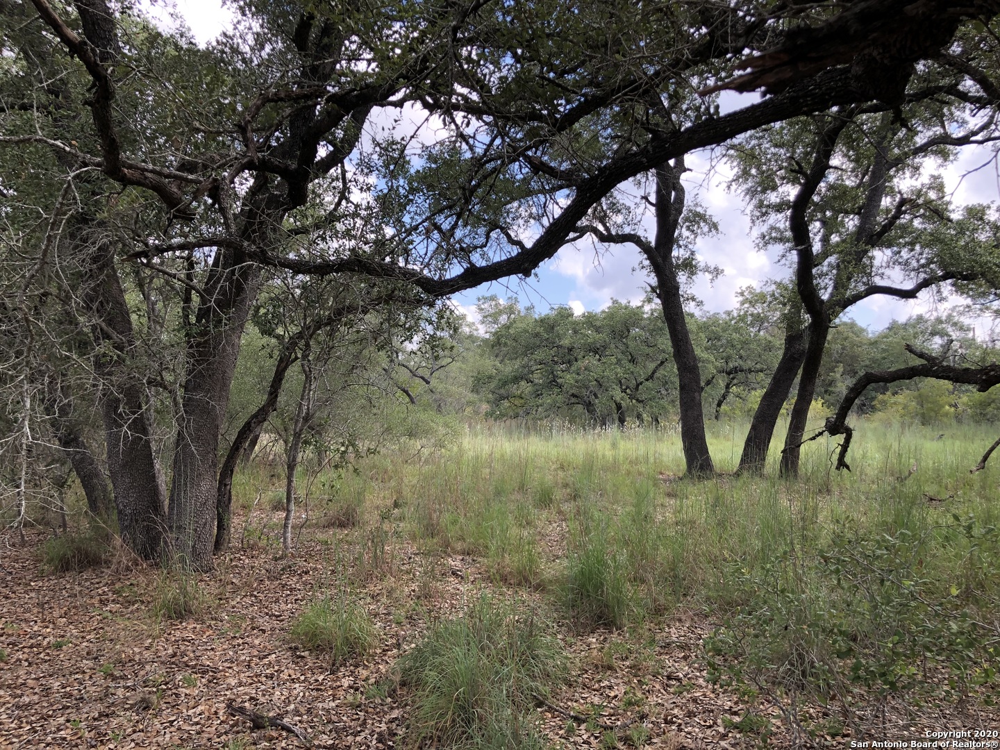 Lot 6 & 7 Oak Lane Poteet TX 78065
