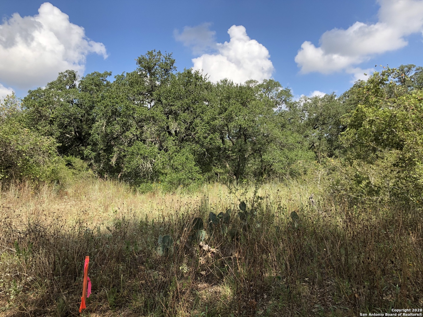 Lot 6 & 7 Oak Lane Poteet TX 78065
