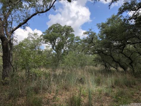 Lot 6 & 7 Oak Lane Poteet TX 78065