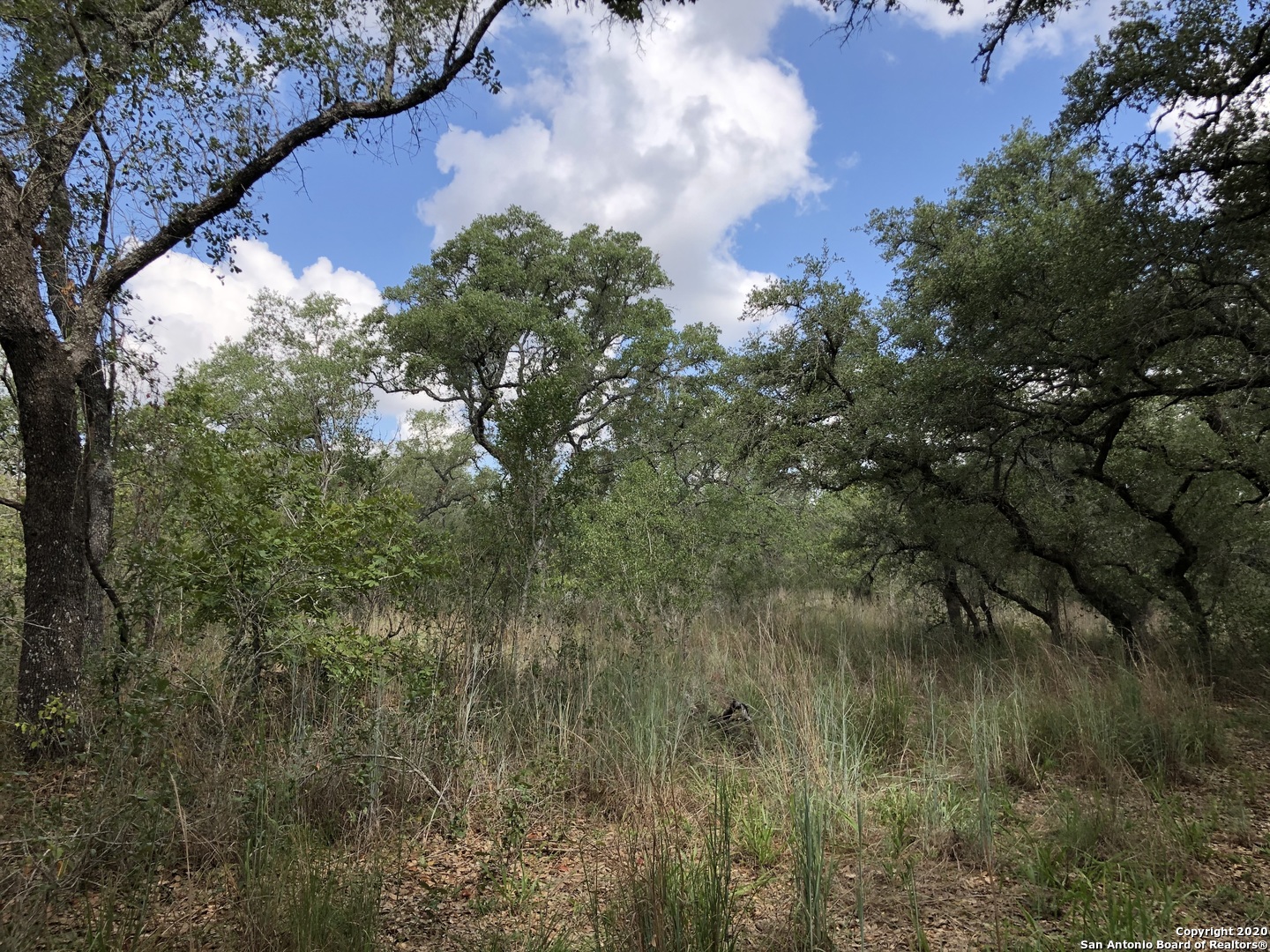 Lot 6 & 7 Oak Lane Poteet TX 78065
