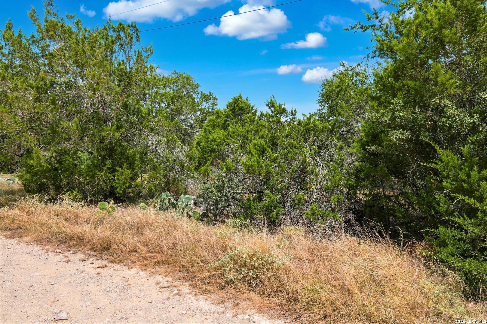 Tbd Rebecca Creek Park Third Filing, Lot 6 Spring Branch TX 78070