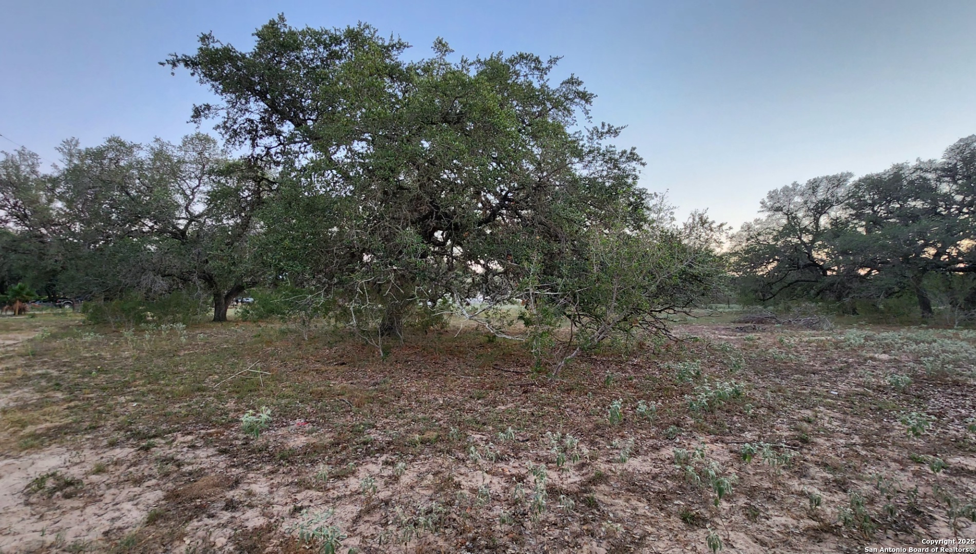 0 Hardy Road Elmendorf TX 78112