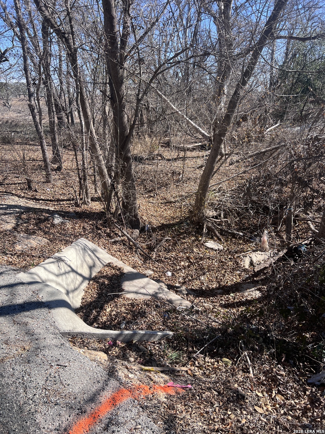 0 Ess Road Atascosa TX 78002