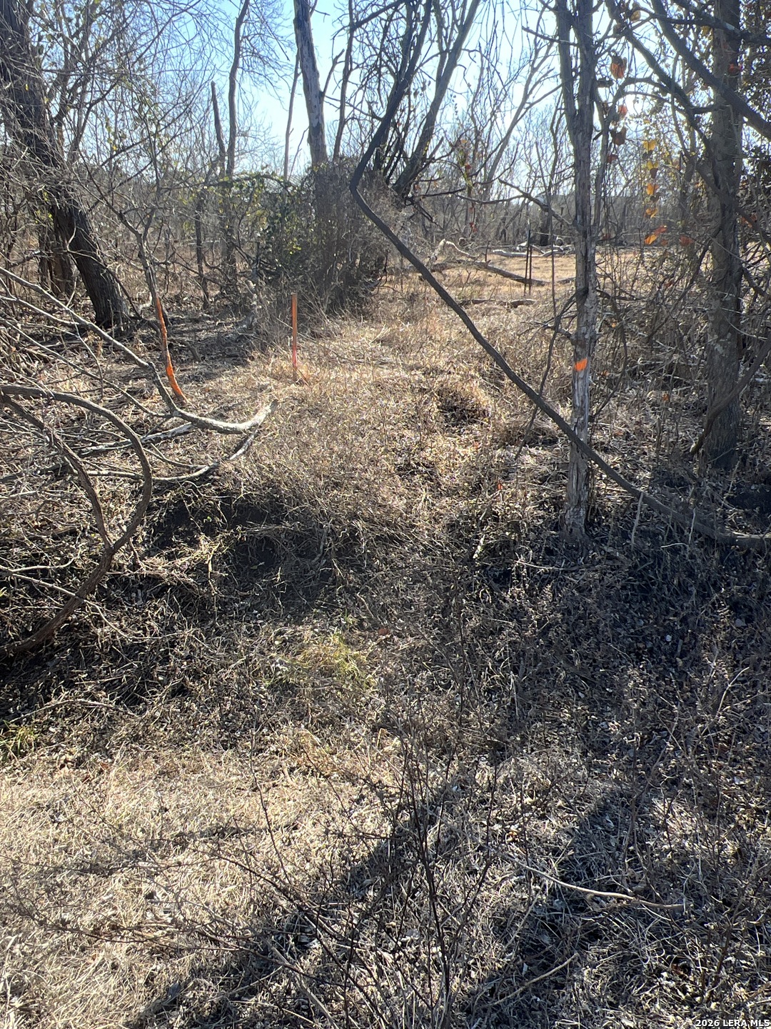0 Ess Road Atascosa TX 78002