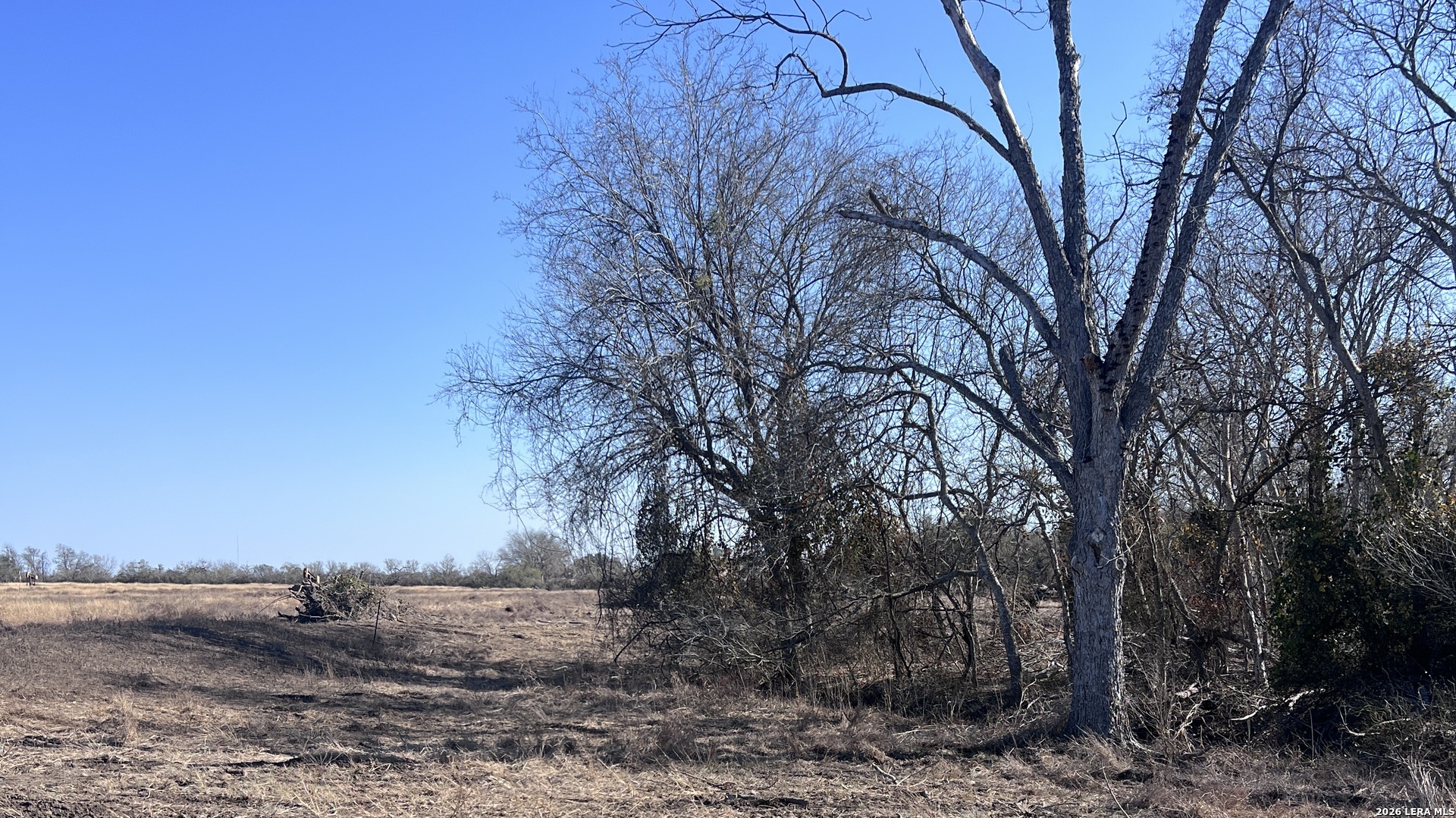 0 Ess Road Atascosa TX 78002