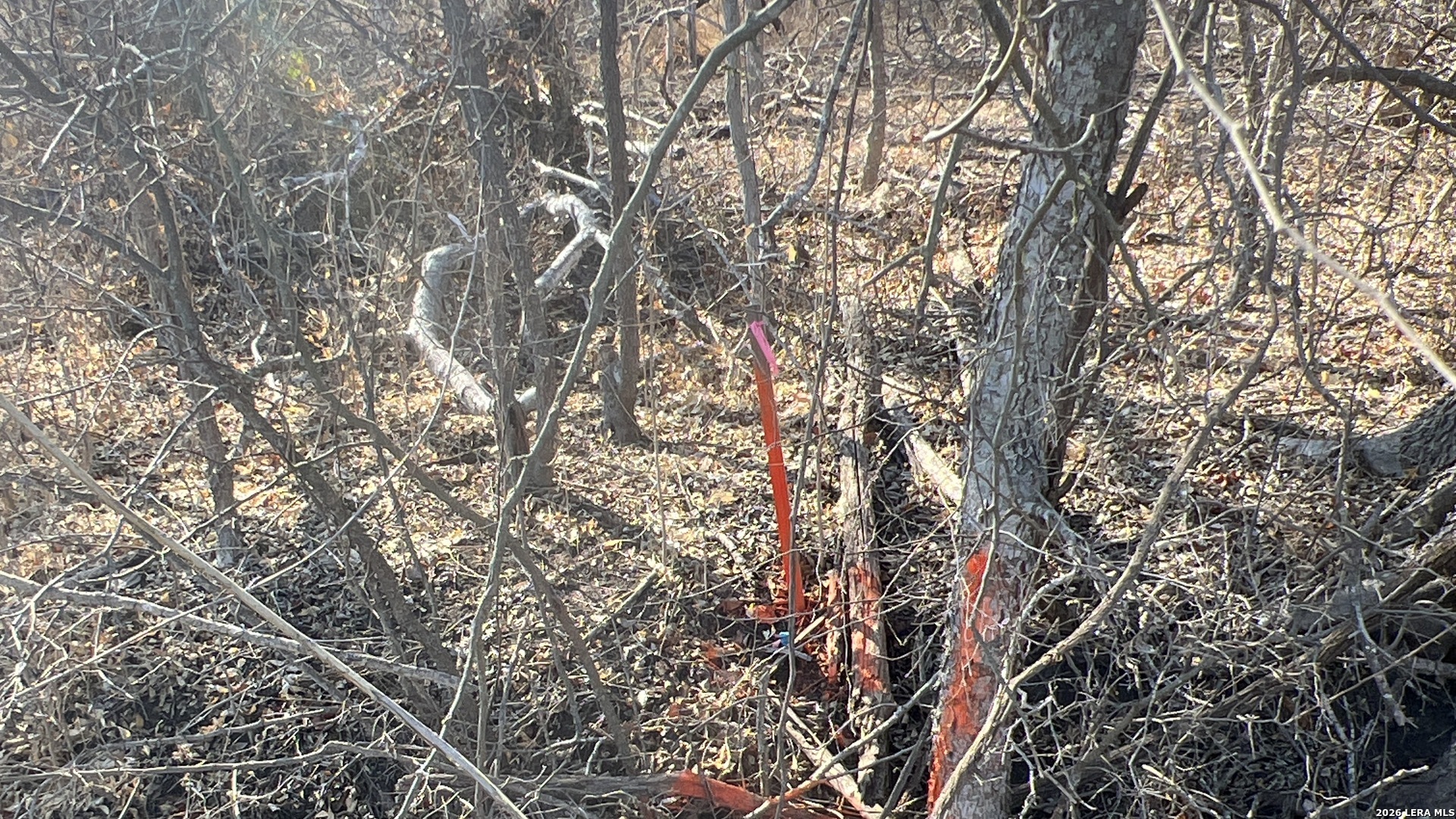 0 Ess Road Atascosa TX 78002