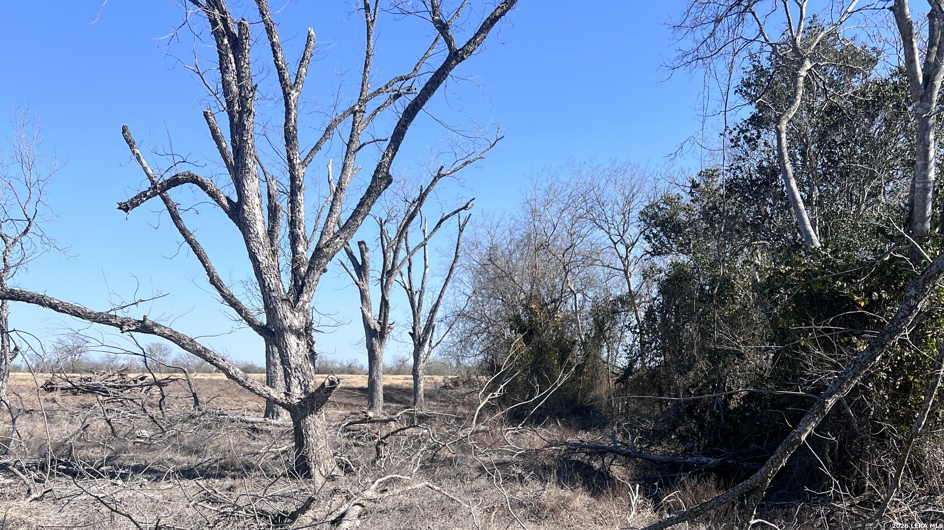 0 Ess Road Atascosa TX 78002
