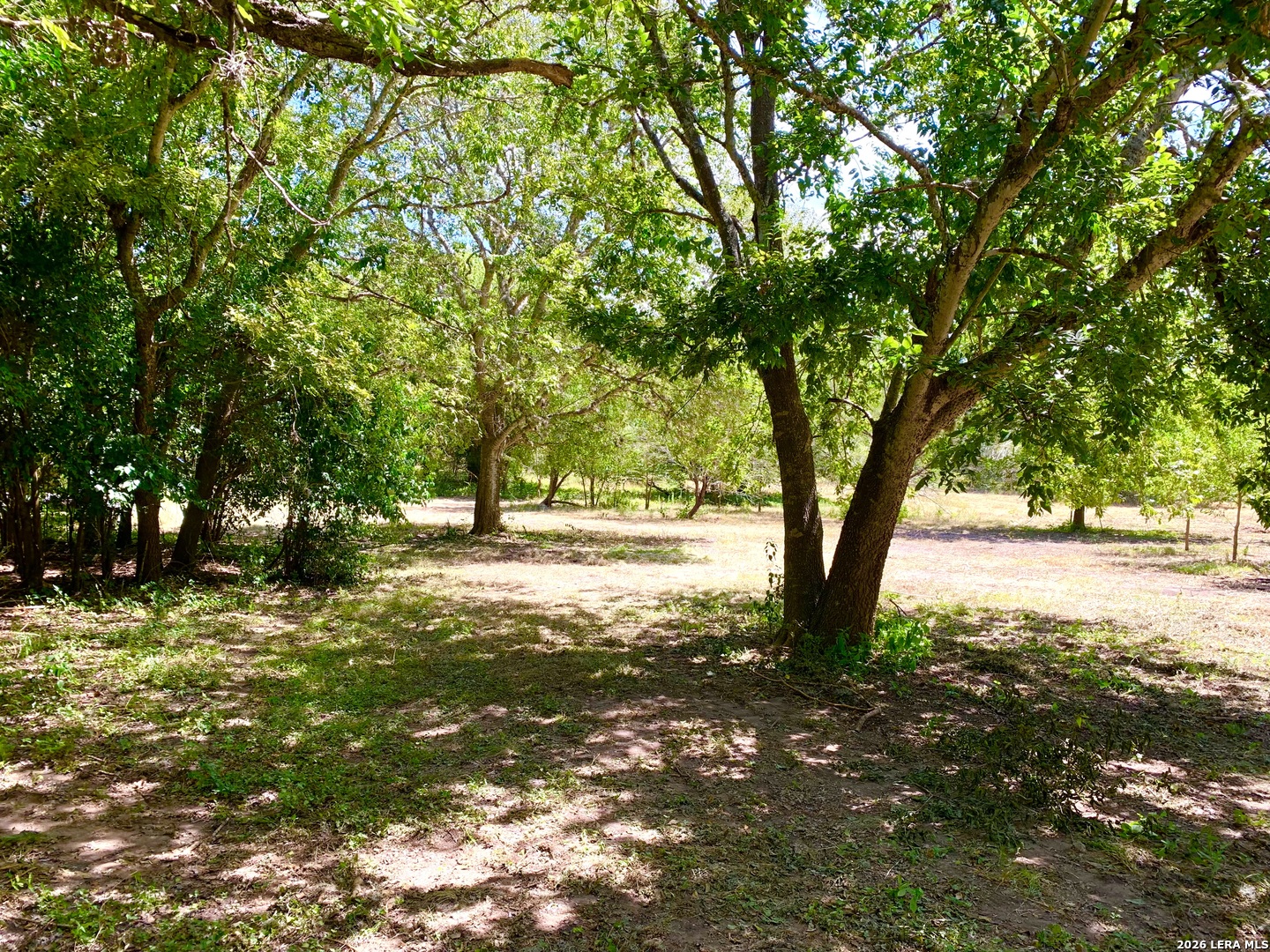 12330 Lower Seguin Road Schertz TX 78154
