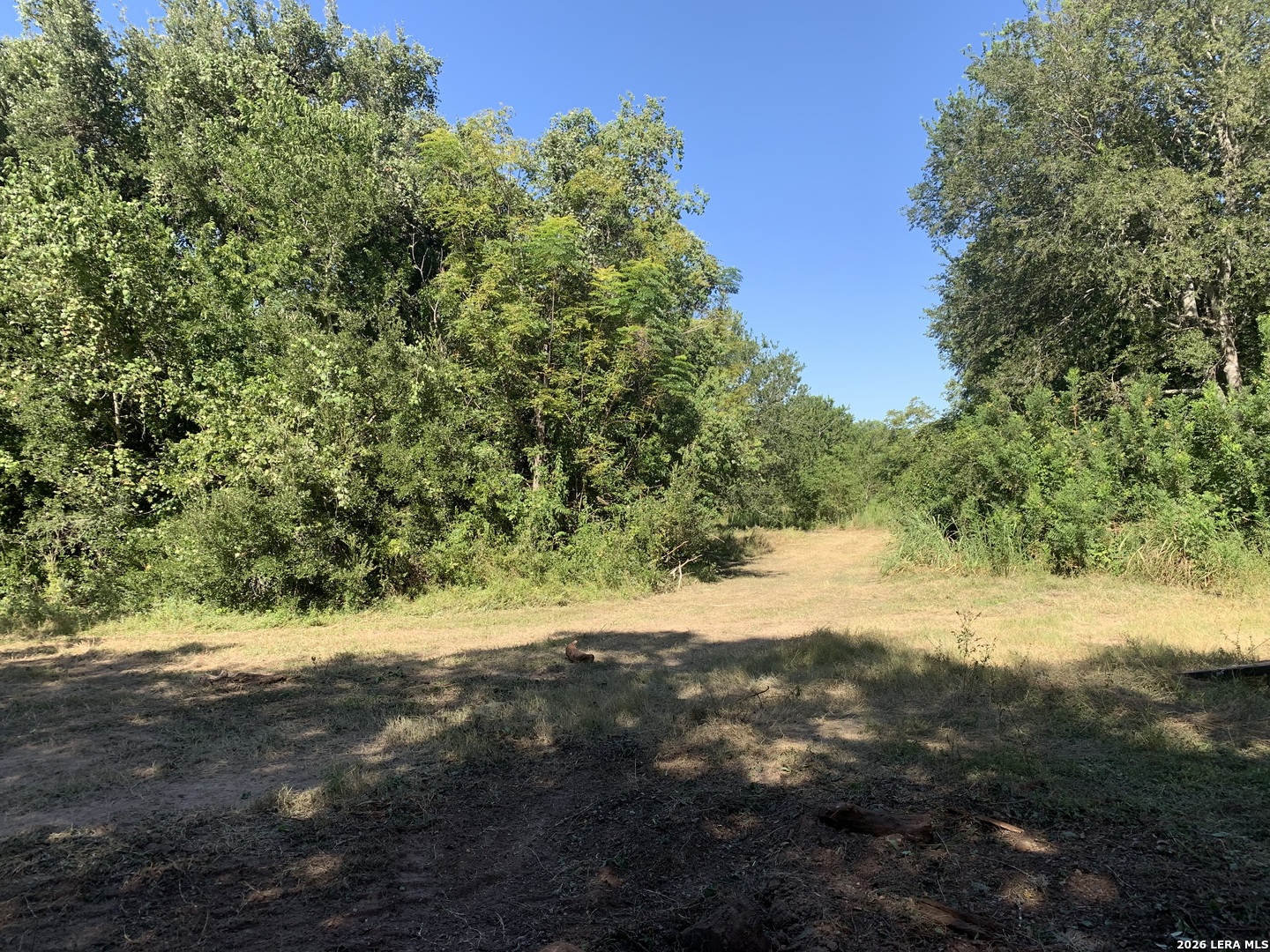 12330 Lower Seguin Road Schertz TX 78154