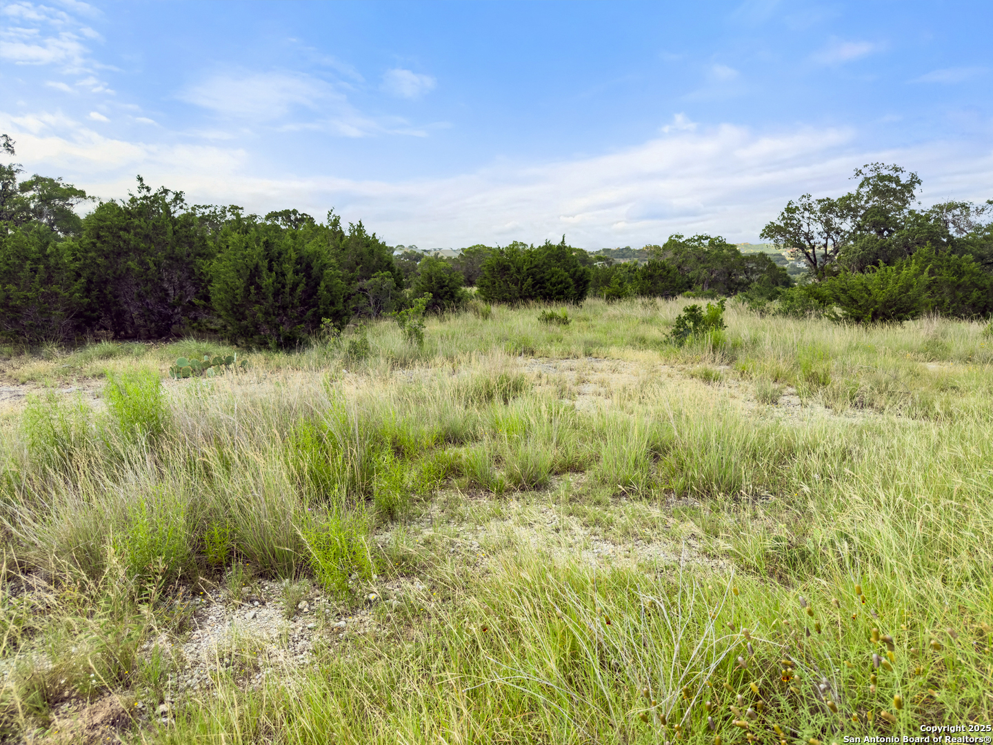 128 Enigma Avenue Spring Branch TX 78070