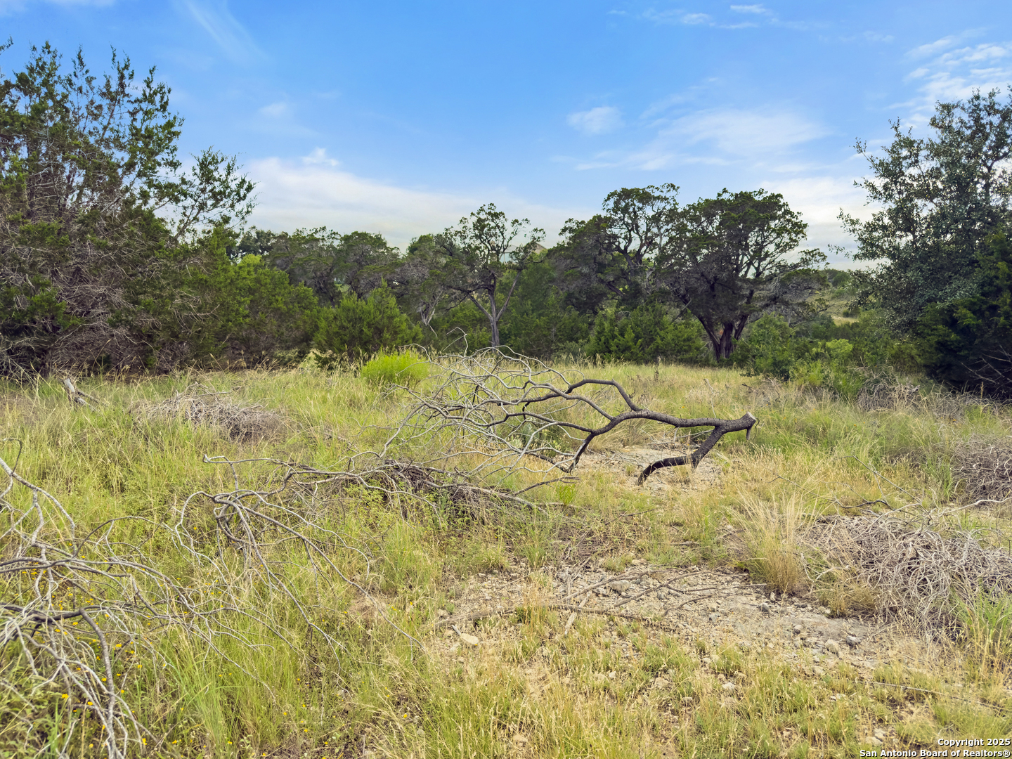 128 Enigma Avenue Spring Branch TX 78070
