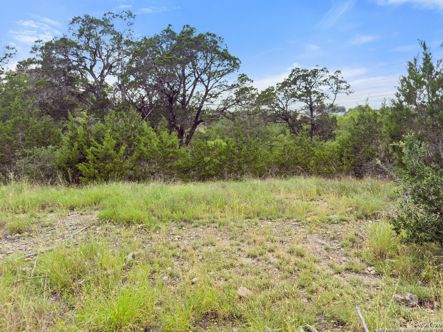 128 Enigma Avenue Spring Branch TX 78070