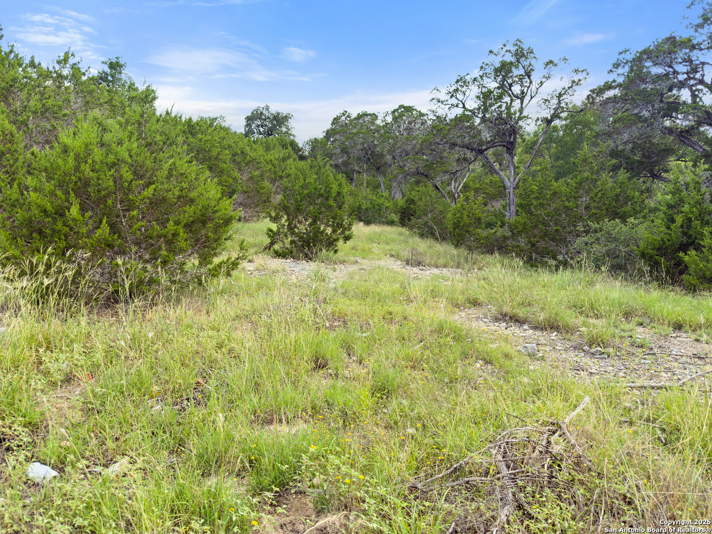 128 Enigma Avenue Spring Branch TX 78070