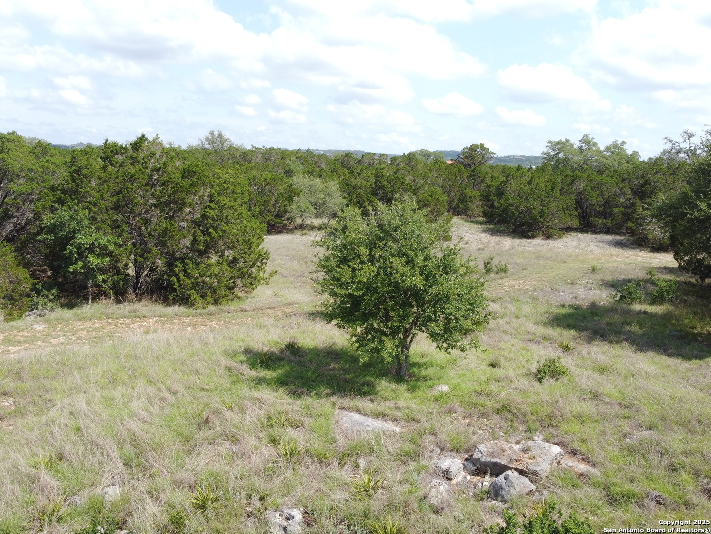 233 Rosinweed Spring Branch TX 78070