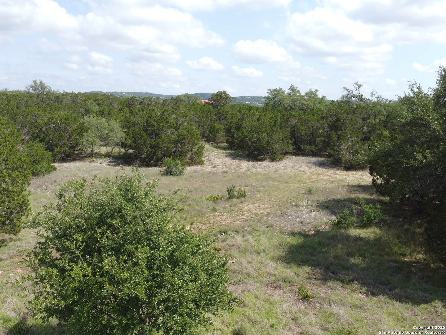 233 Rosinweed Spring Branch TX 78070