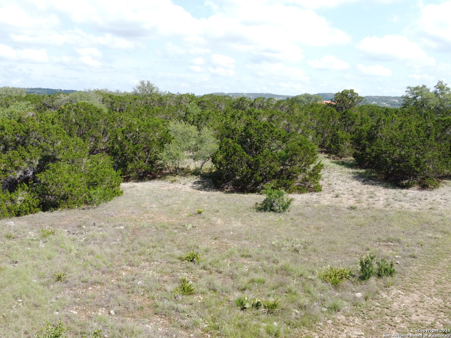 233 Rosinweed Spring Branch TX 78070