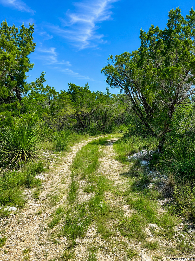 19 County Road 270 Mico TX 78056