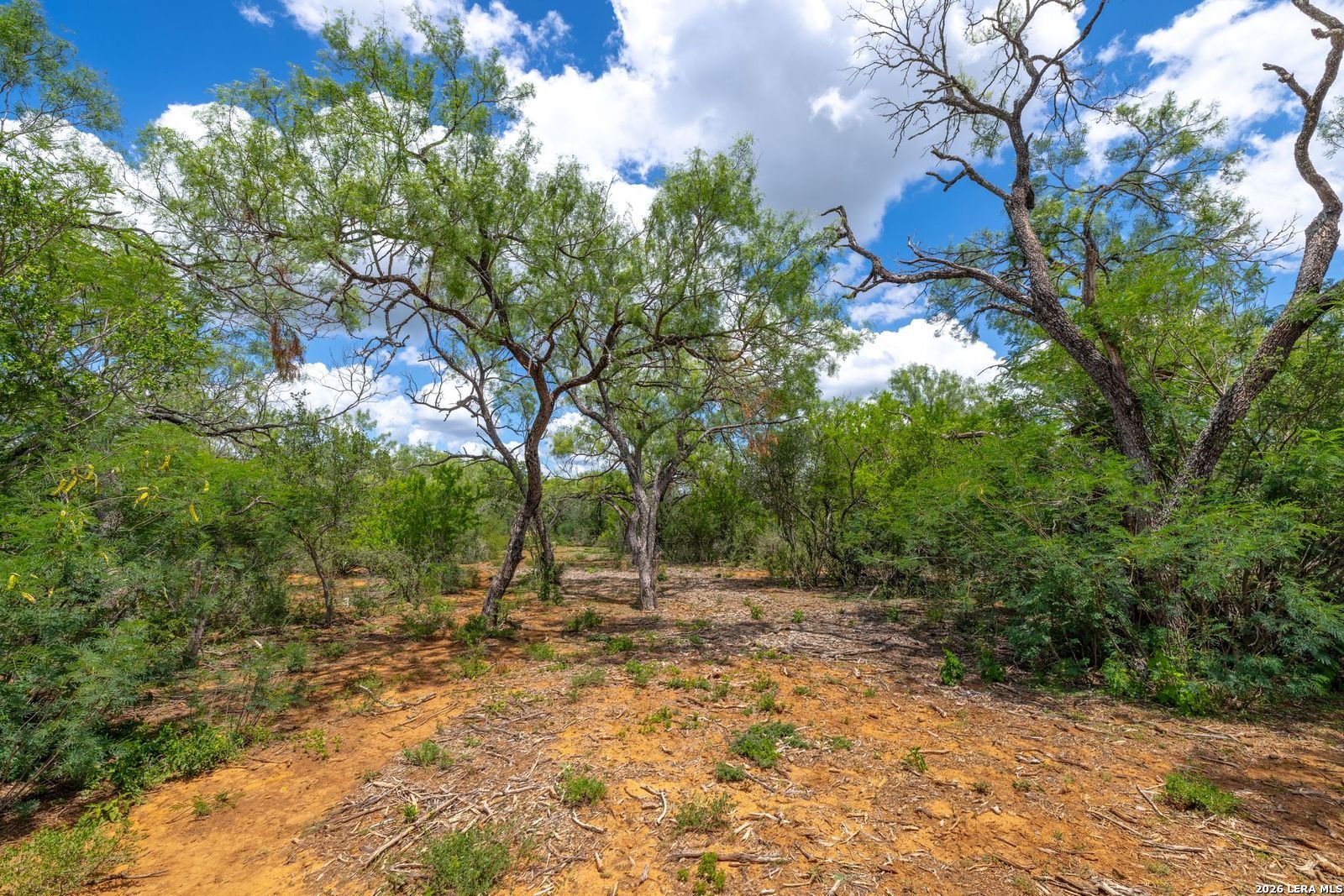 0 Fm 462 Hondo TX 78861