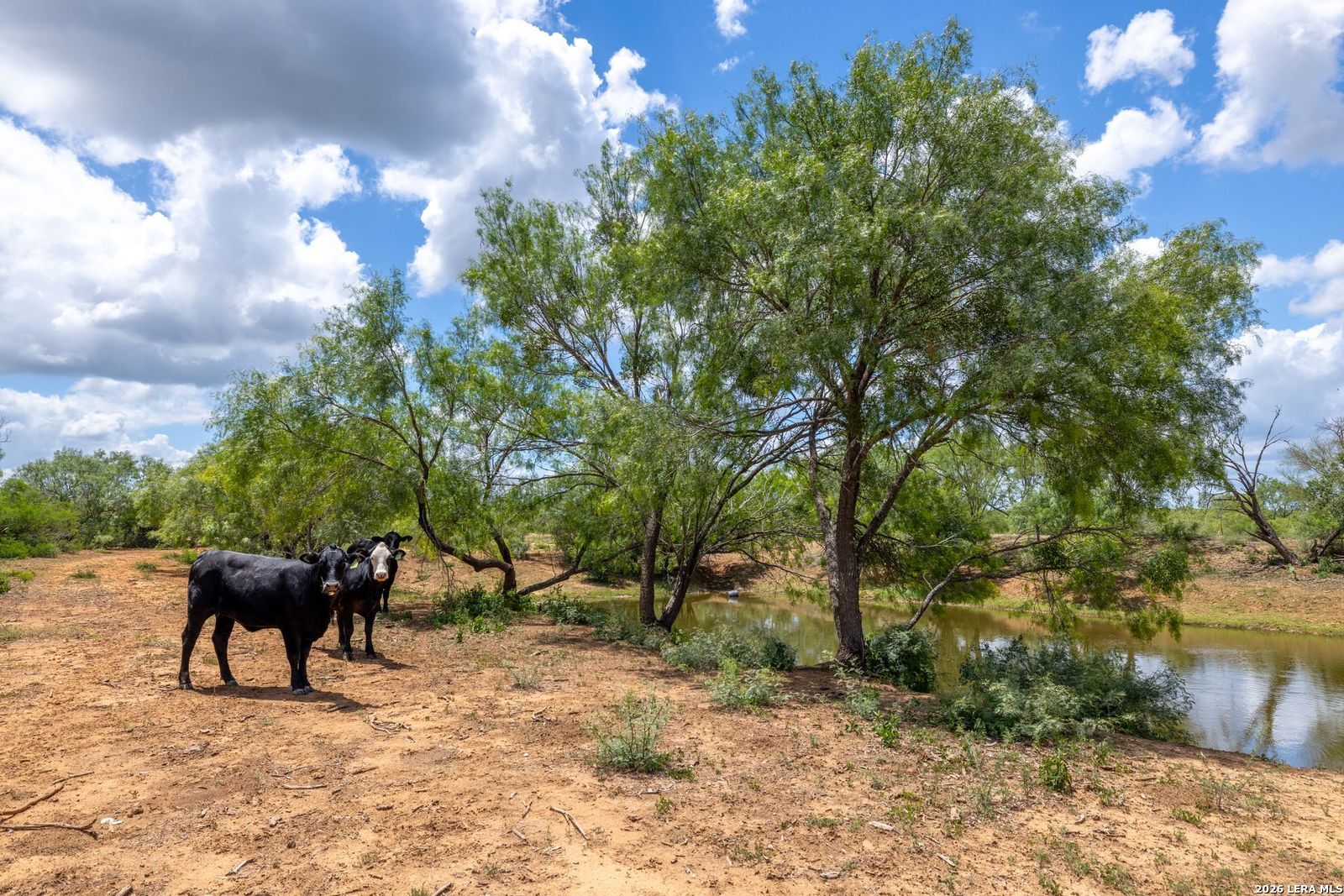 0 Fm 462 Hondo TX 78861