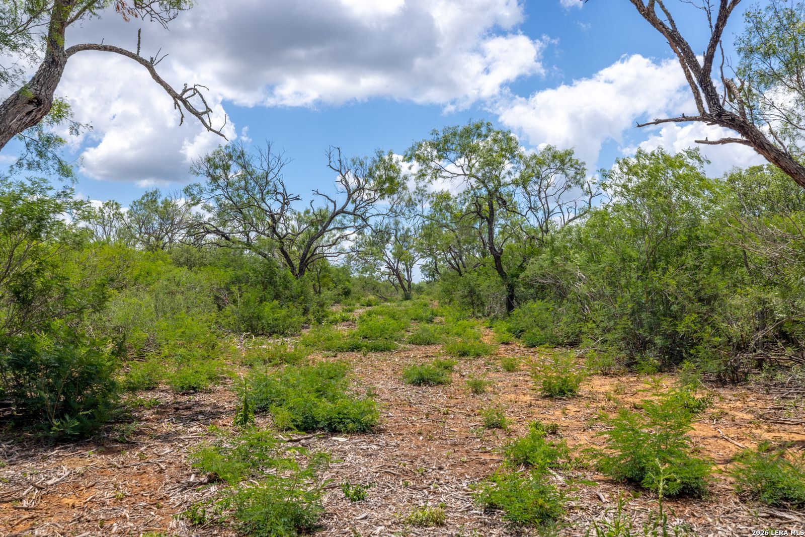 0 Fm 462 Hondo TX 78861