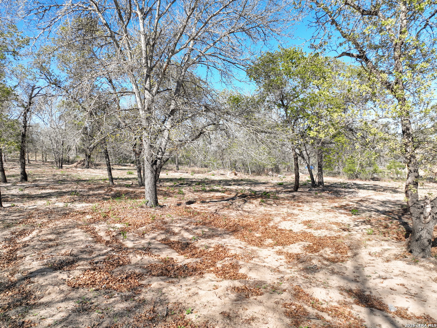 Tbd County Road 6864 Natalia TX 78059