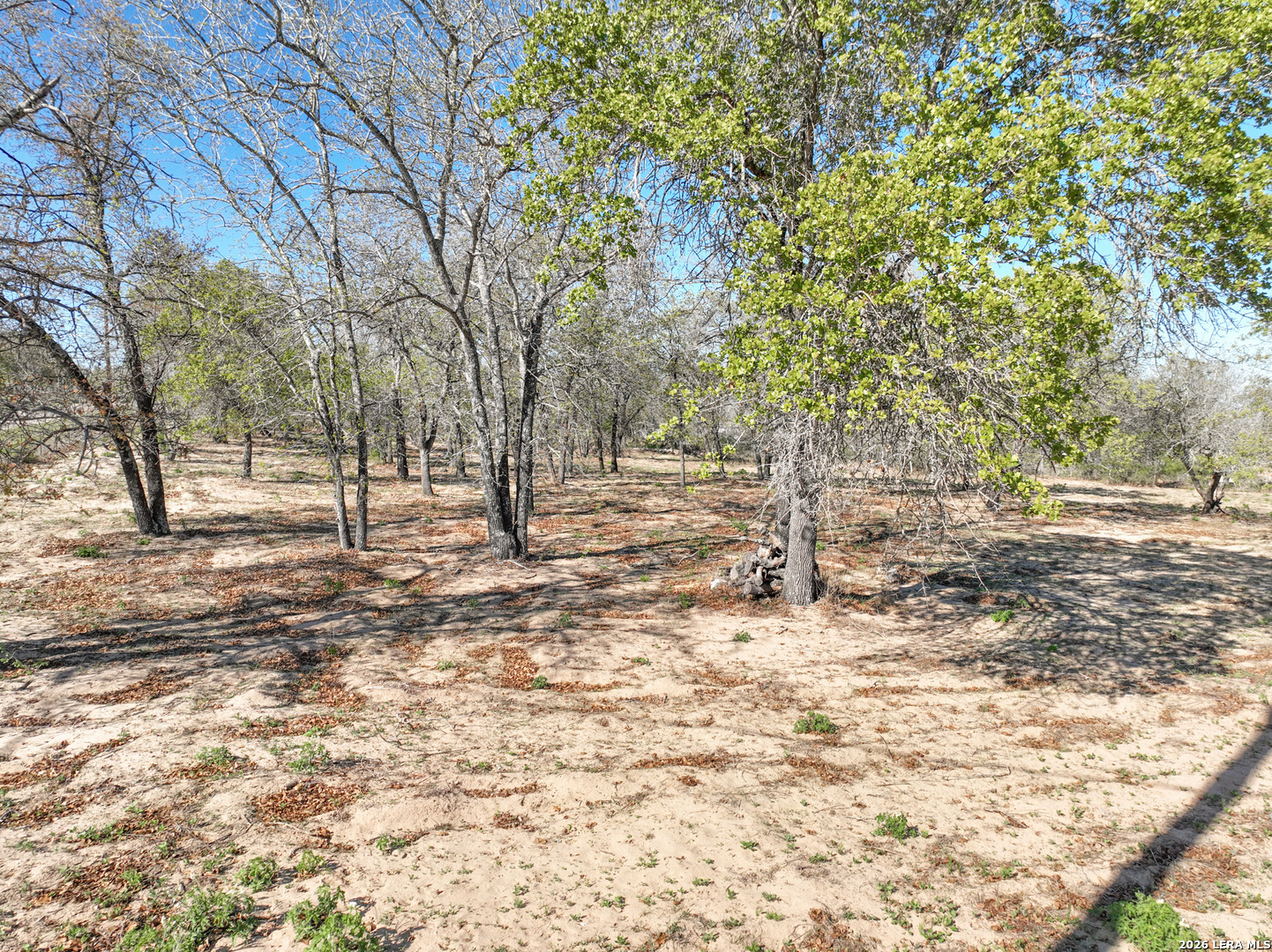Tbd County Road 6864 Natalia TX 78059