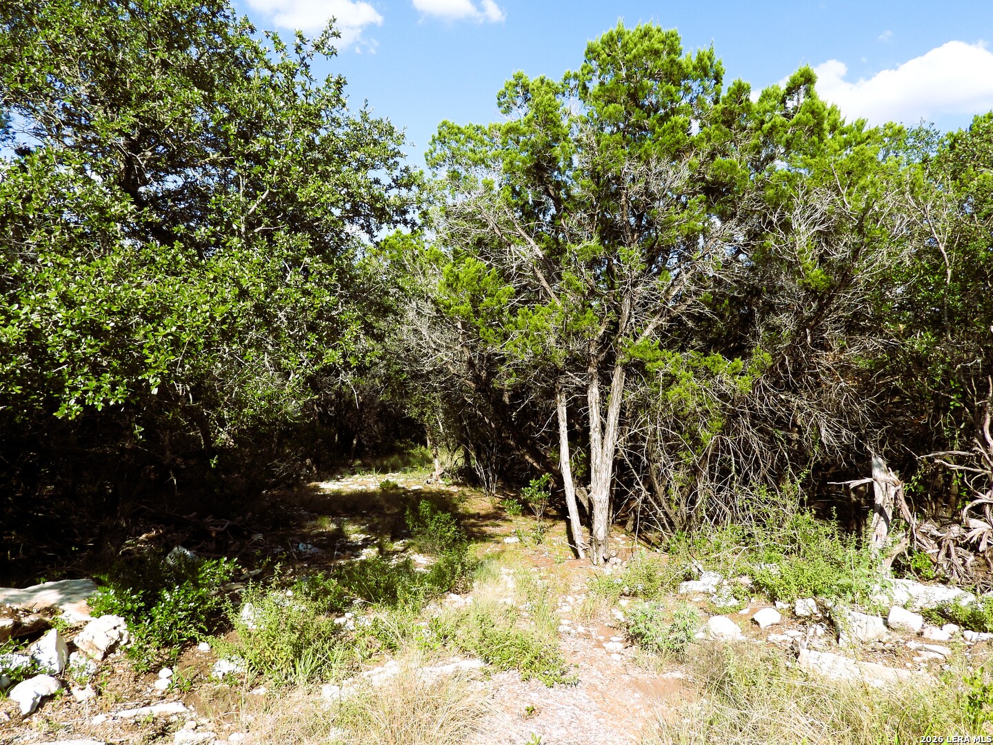 Lot 51 Pr 2537 Mico TX 78056