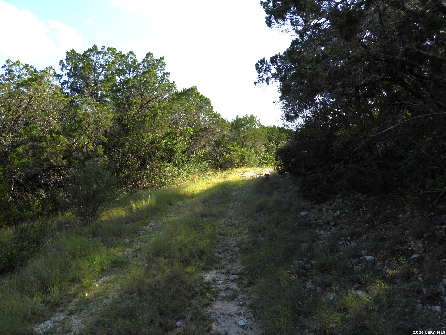 Lot 51 Pr 2537 Mico TX 78056