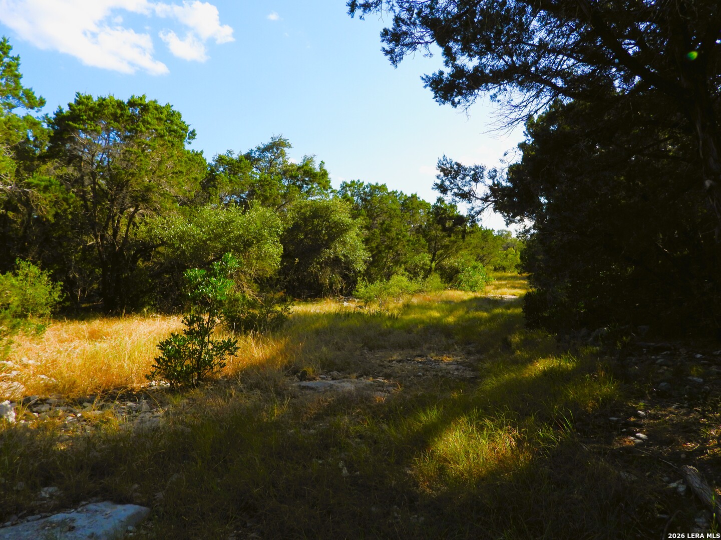 Lot 51 Pr 2537 Mico TX 78056