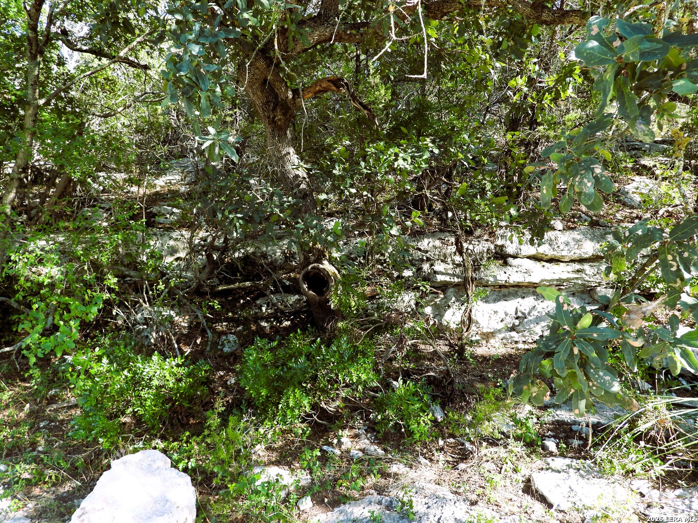 Lot 51 Pr 2537 Mico TX 78056