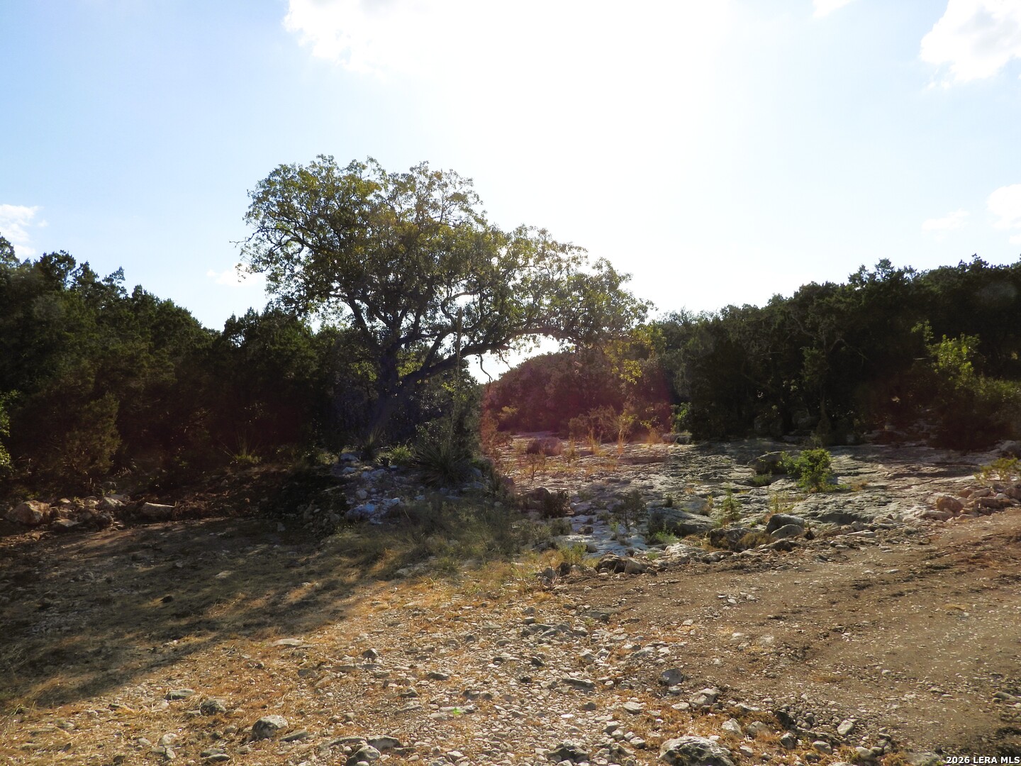 Lot 51 Pr 2537 Mico TX 78056