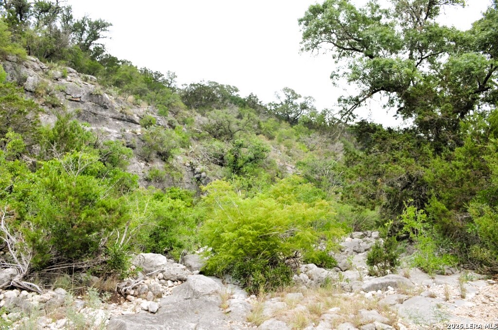 Lot 51 Pr 2537 Mico TX 78056