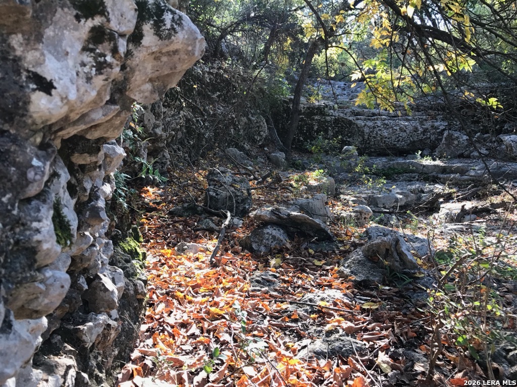 Lot 51 Pr 2537 Mico TX 78056