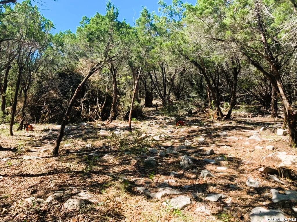 Lot 51 Pr 2537 Mico TX 78056