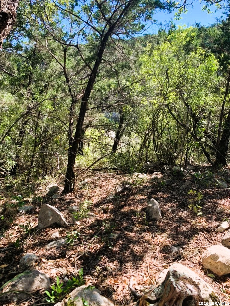 Lot 51 Pr 2537 Mico TX 78056
